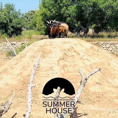 Summer House Tarragona Rural Daire La Secuita