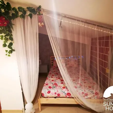Summer House Tarragona Rural *