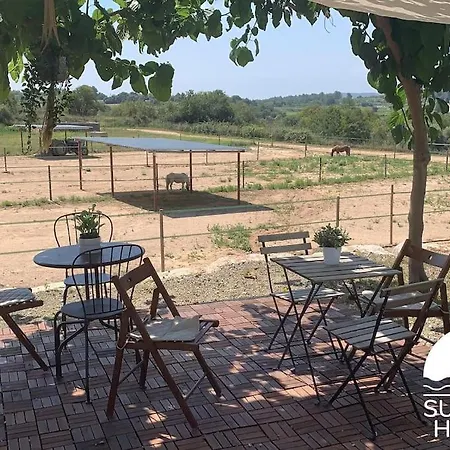 Daire Summer House Tarragona Rural *